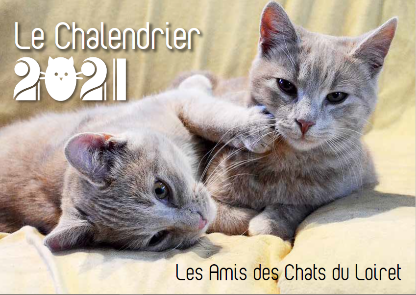 chalendrier2021